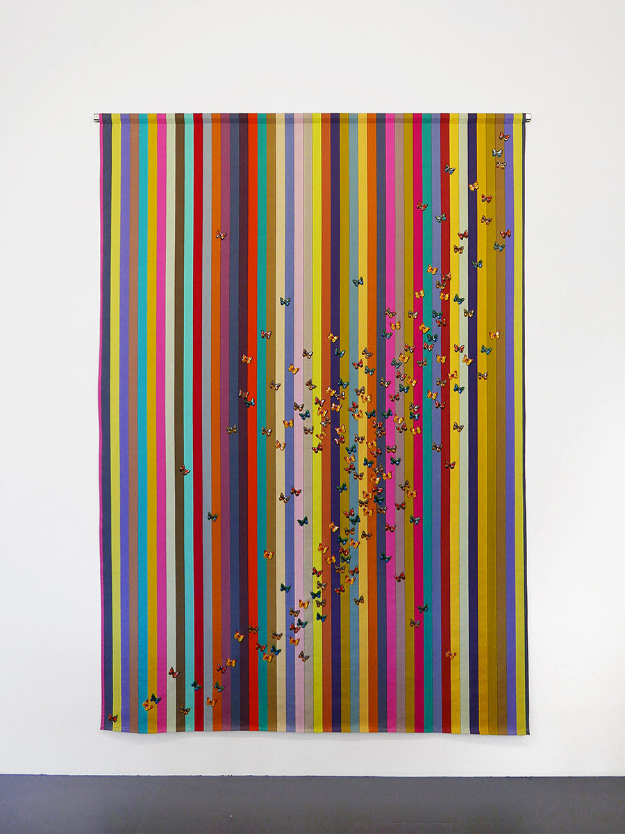 Stefan Wissel | Butterfly effect